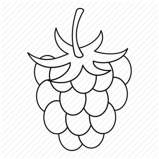 512x512 food, fresh, fruit, line, outline, raspberry, thn - Fruit Line Drawing