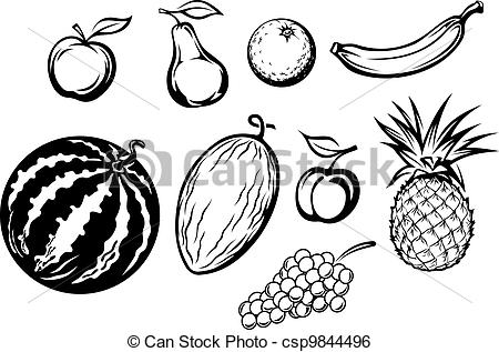 450x317 Photos Line Drawings Of Fruit - Fruit Line Drawing