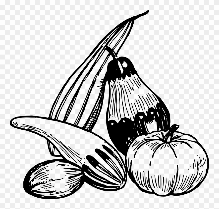 880x843 vegetable drawing fruit line art eggplant - Fruit Line Drawing