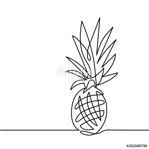 500x500 Continuous Line Drawing Of Pineapple Concept Of Fruit Vector - Fruit Line Drawing