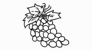 320x180 Grapes Fruit Food Line Drawing Illustration Animation Transparent - Fruit Line Drawing
