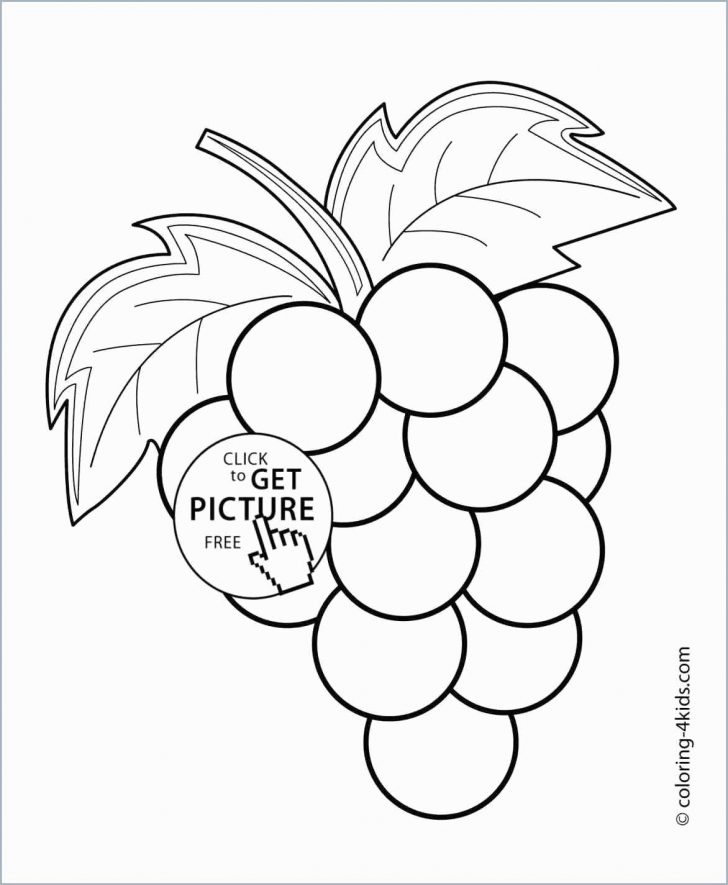 728x885 Coloring Pages Coloring Books For Kids Fruits Best Book Apple - Fruit Line Drawing