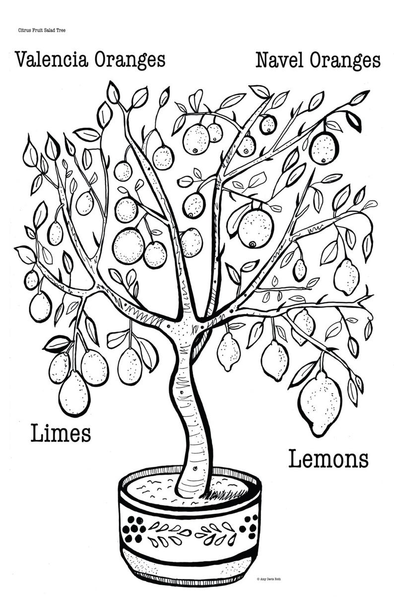 794x1228 Coloring Art Print Grafted Fruit Salad Tree Poster Art Etsy - Fruit Salad Drawing