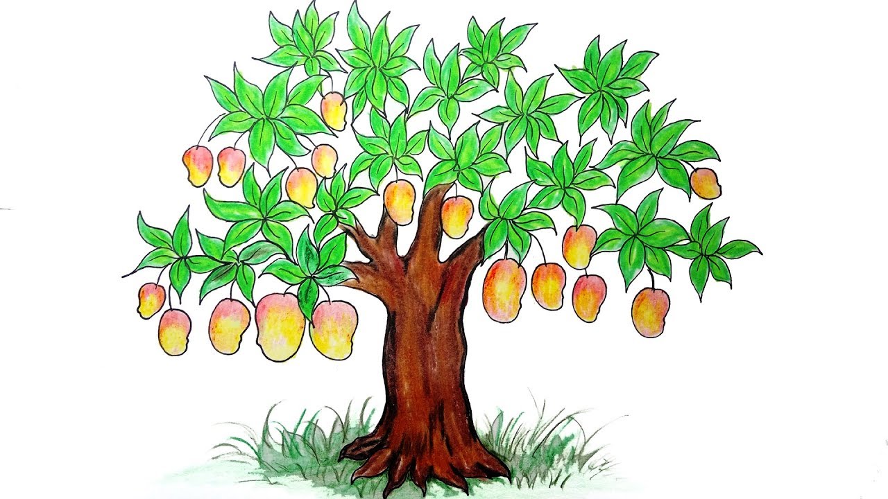 1280x720 how to draw mango tree very easy drawing mango tree - Fruit Tree Drawing