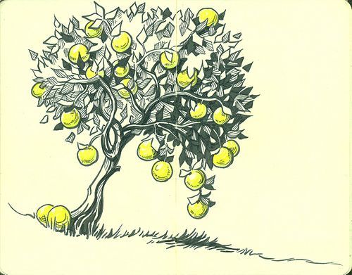 500x391 Image Result For Grow More Trees Drawings Penamppencil Tree Art - Fruit Tree Drawing