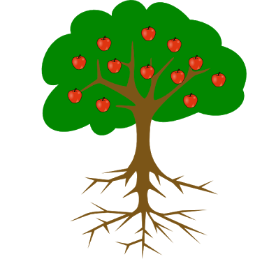 395x371 Image Result For Simple Tree Drawing With Roots And Fruit - Fruit Tree Drawing