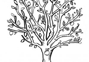 300x210 Apple Tree Drawing Black And White - Fruit Tree Drawing