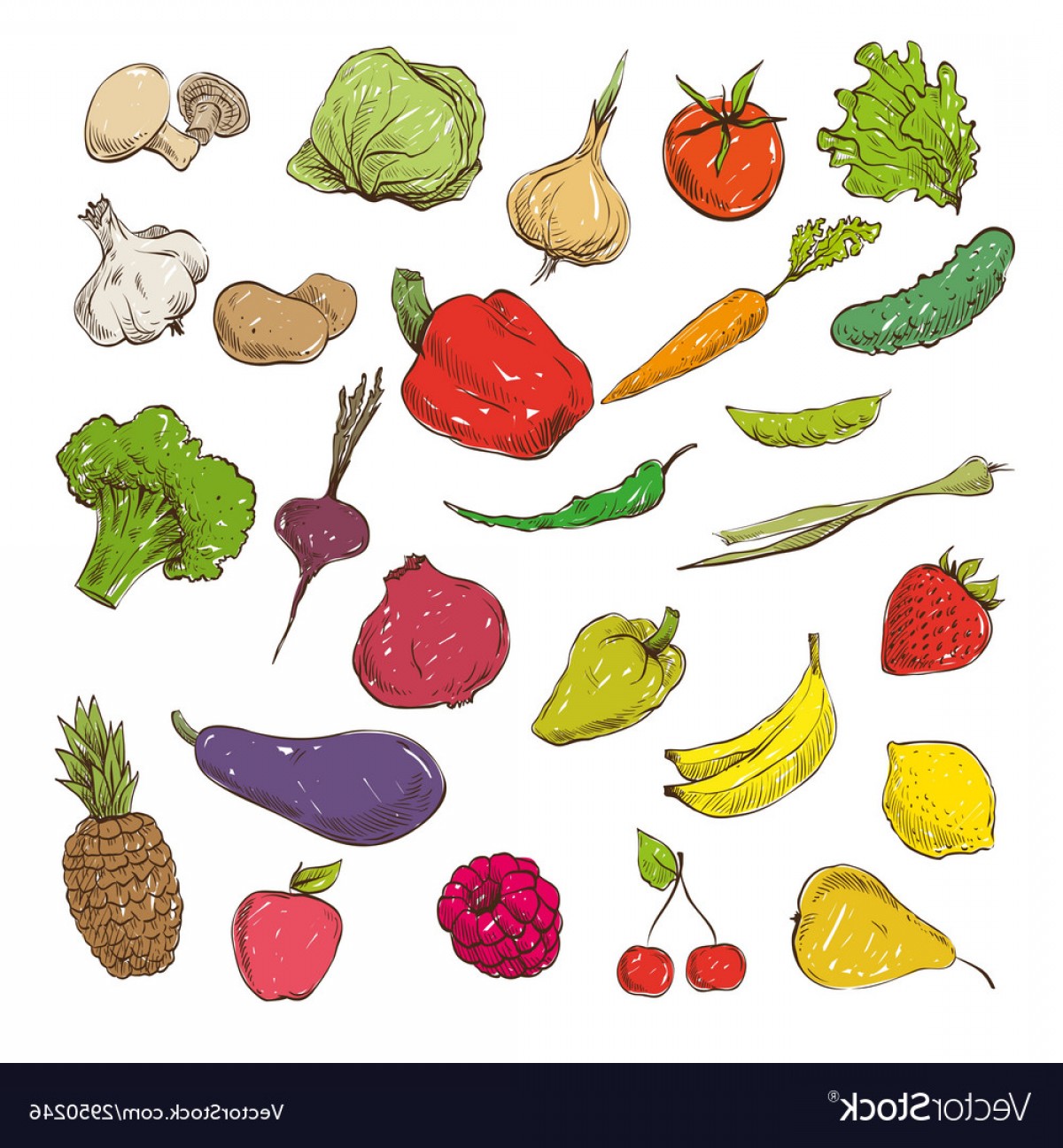 Fruits And Vegetables Drawing at PaintingValley.com | Explore ...