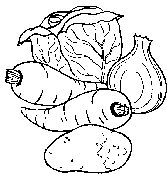 569x594 Fruit Vegetable Black White Clipart - Fruits And Vegetables Drawing Black And White