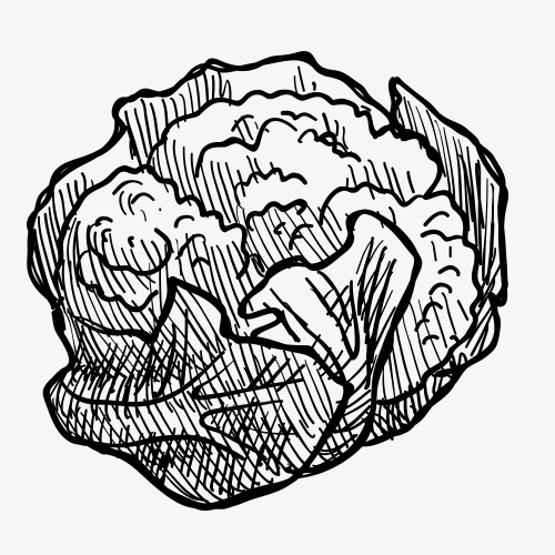 500x500 pencil drawing,fruits and vegetables,vegetables,sketch,black - Fruits And Vegetables Drawing Black And White