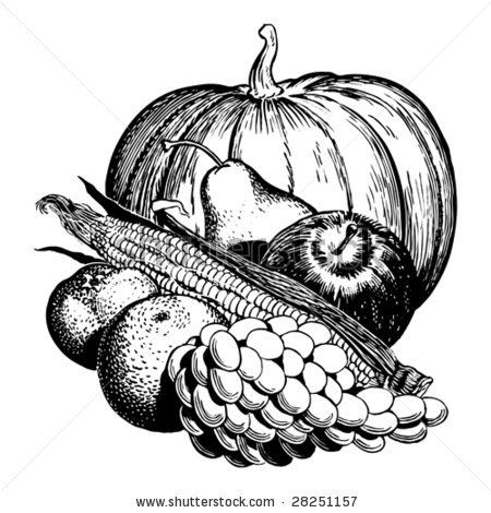 450x470 Stock Vector Vintage Harvest Of Fruit And Vegetables - Fruits And Vegetables Drawing Black And White