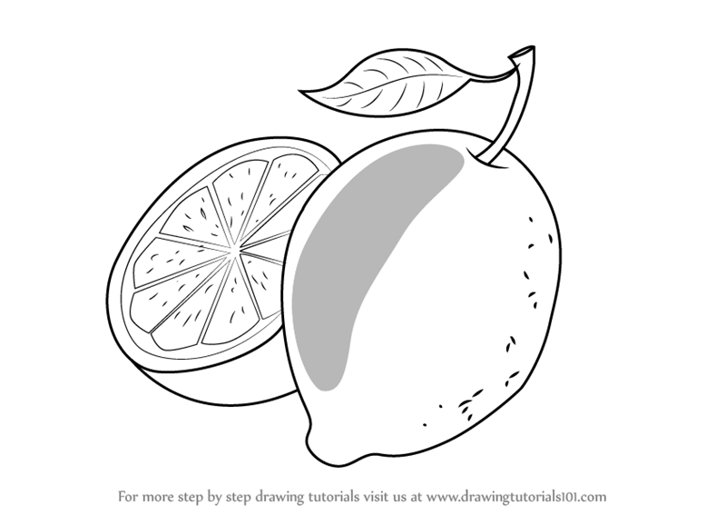 800x567 learn how to draw citrus fruit for kids - Fruits Drawing