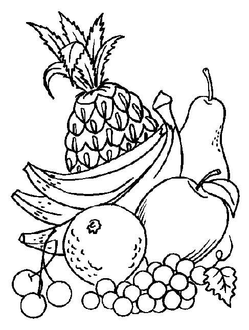 487x643 Fruits Vegetables Free Coloring Pages On Art Coloring Pages - Fruits Drawing For Colouring