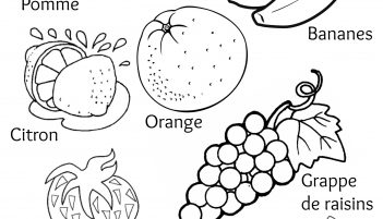351x201 Pictures Of Fruit And Vegetables To Colour - Fruits Drawing For Colouring