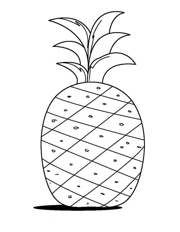 Download Fruits Drawing For Kids at PaintingValley.com | Explore collection of Fruits Drawing For Kids