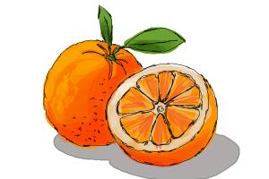 300x200 How To Draw Fruit Step - Fruits Drawing For Kids