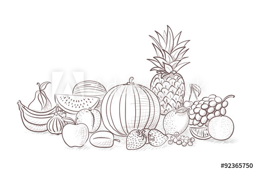 500x334 fruits drawing - Fruits Drawing Images