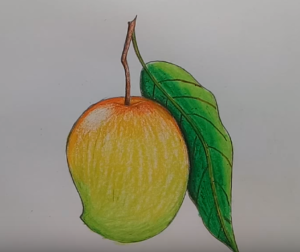 300x252 How To Draw Mango Fruit Step - Fruits Drawing Images