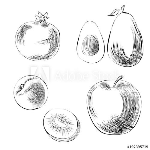 500x500 hand drawn fruits without color pencil drawing pomegranate - Fruits Pencil Drawing
