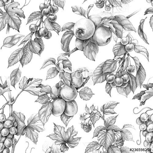 500x500 Seamless Pattern With Pencil Drawing Fruits Stock Photo - Fruits Pencil Drawing