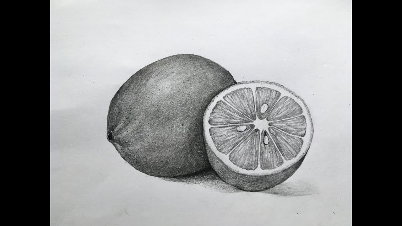 Step Sketch Basic Fruits Drawings - Fruits Pencil Drawing. 