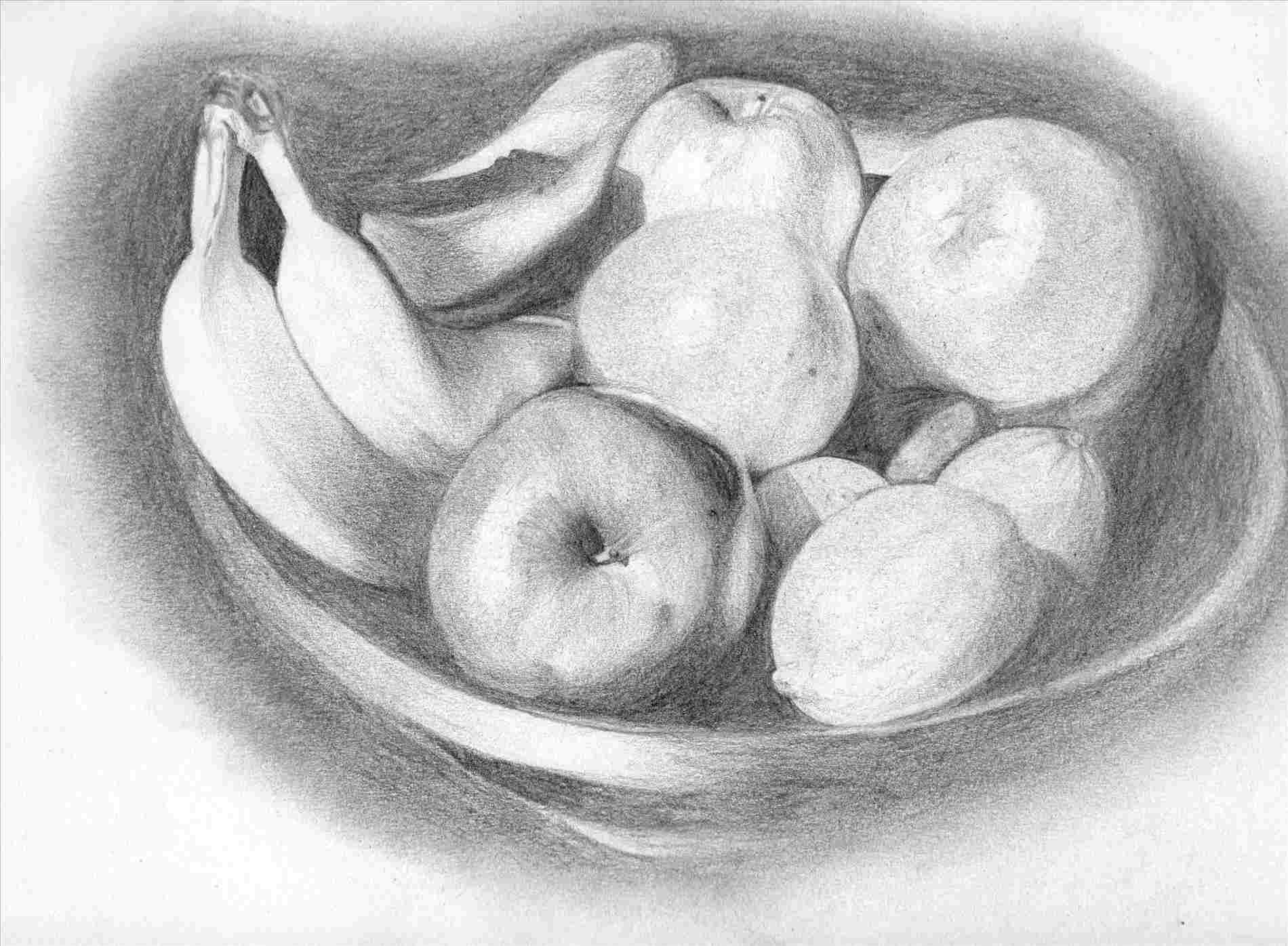 Fruits Pencil Drawing at Explore collection of
