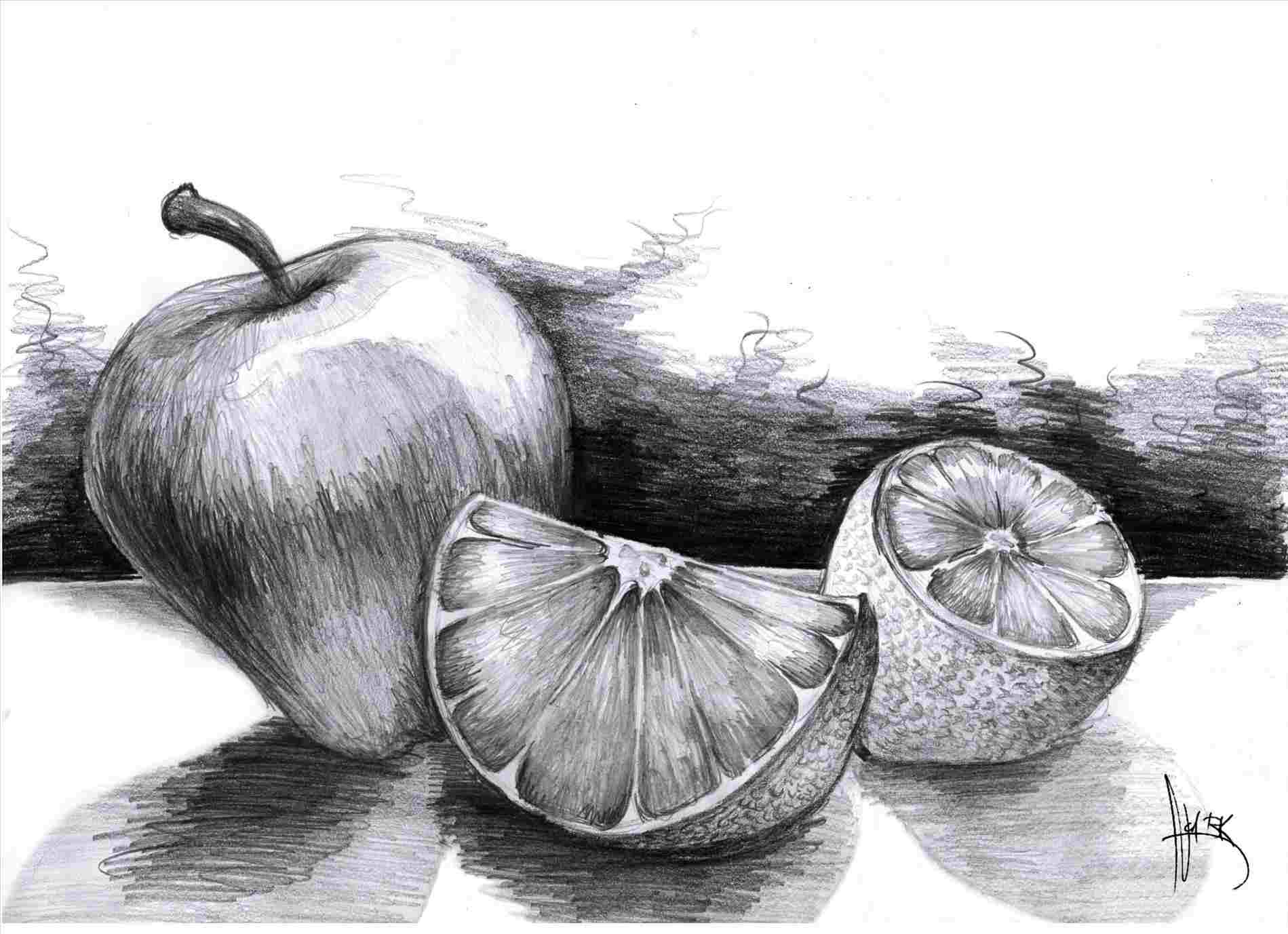 1899x1377 Still Still Life Fruit Drawing Life Drawing Of Fruits Pencil - Fruits Pencil Drawing