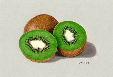 367x250 Colored Pencil Drawing Of Kiwi Fruit - Fruits Pencil Drawing