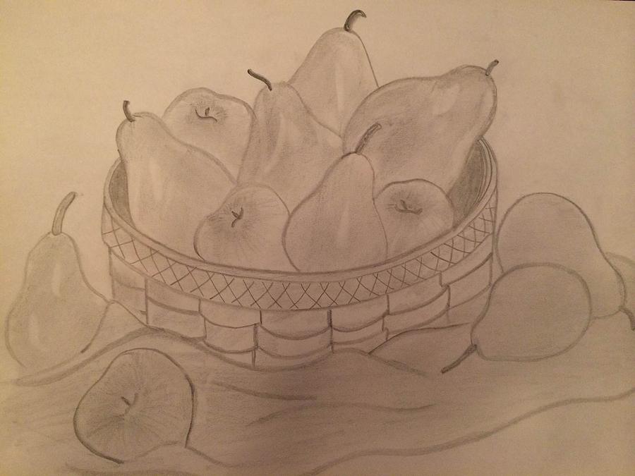 900x675 Fruit Basket Pencil Sketch Drawing - Fruits Pencil Drawing