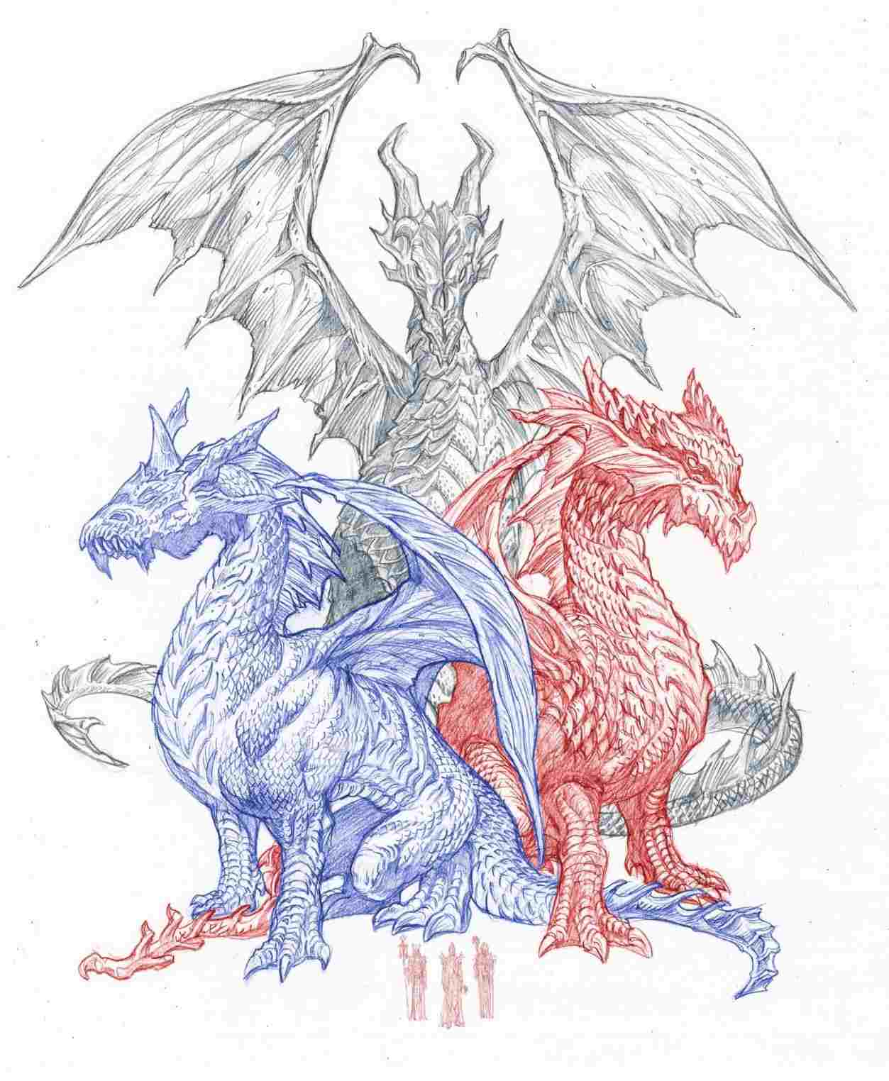 Full Dragon Drawing at Explore collection of Full