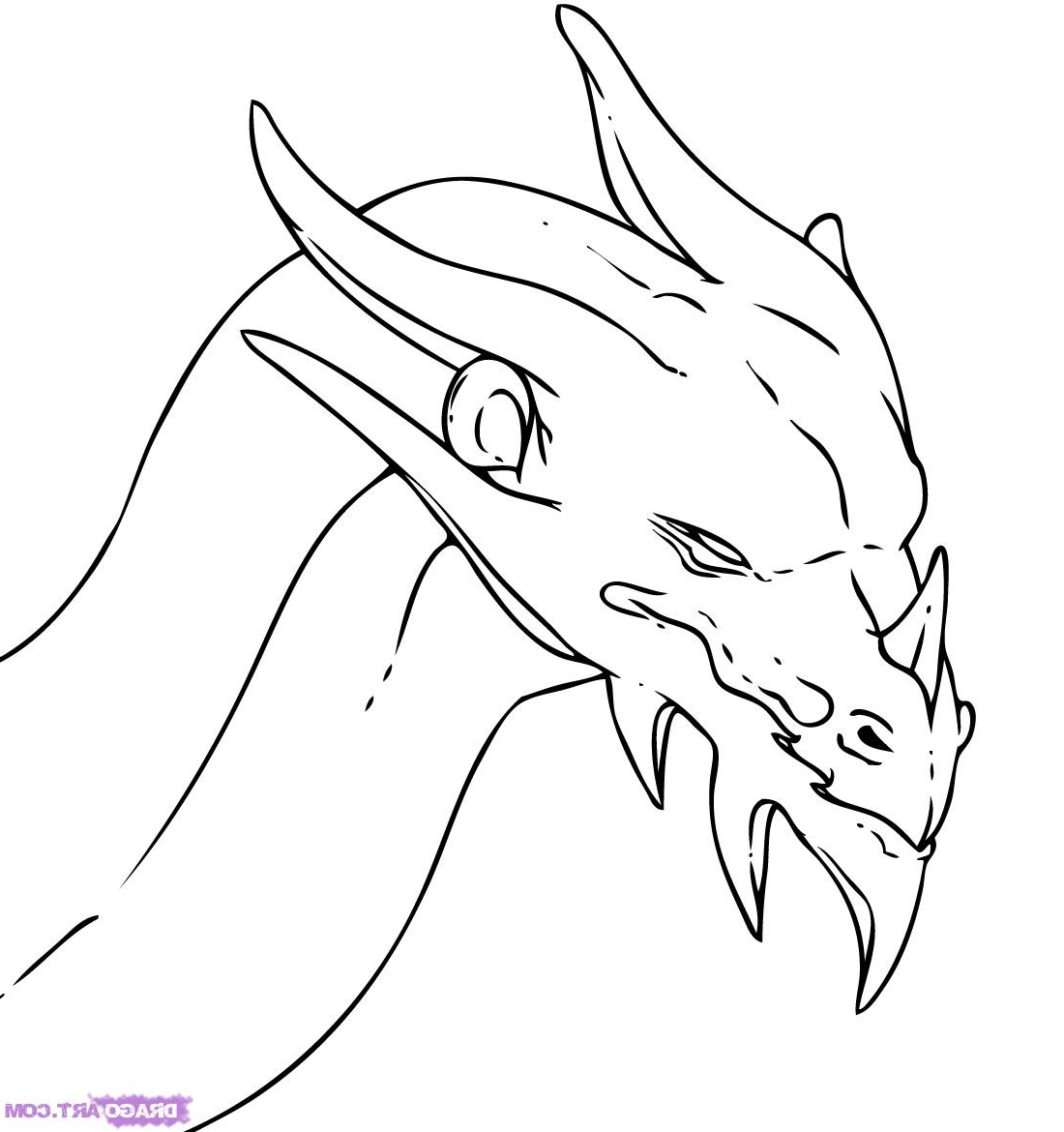 1100x1170 Dragon Face Drawing - Full Dragon Drawing