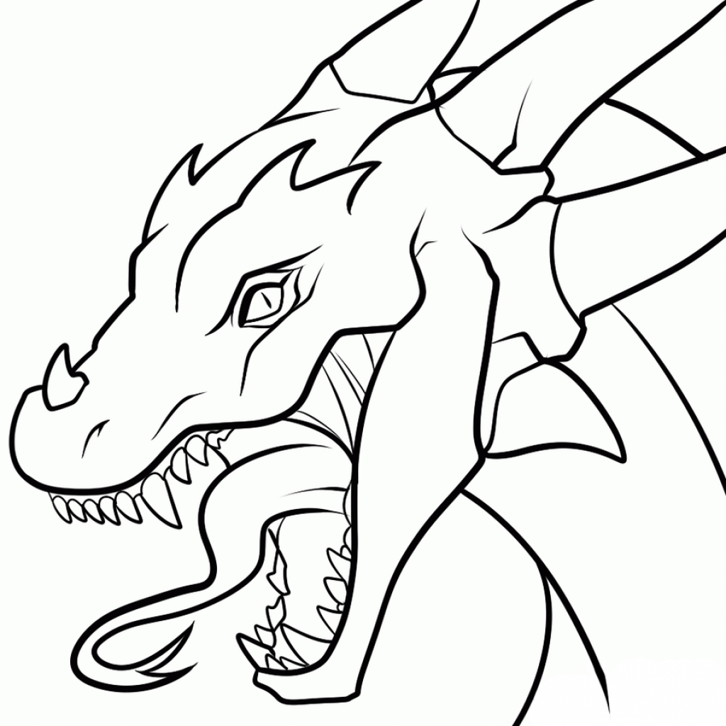 1024x1024 Dragon Face Drawing - Full Dragon Drawing