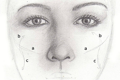 400x266 Drawing Lesson For Beginner Artists Proportions Of The Face - Full Face Drawing