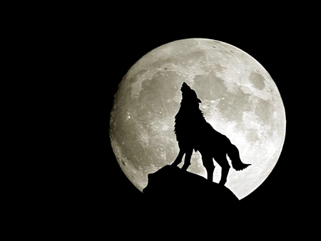 450x338 full moon drawing for kids hd wallpaper, background images - Full Moon Drawing