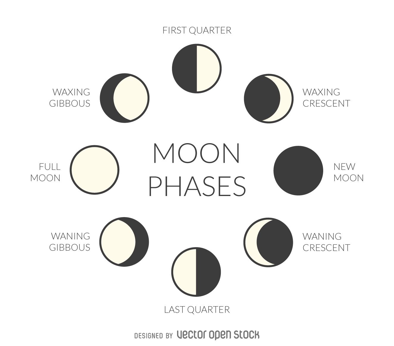 1324x1165 Illustration Featuring The Phases Of The Moon Design Includes - Full Moon Drawing Easy