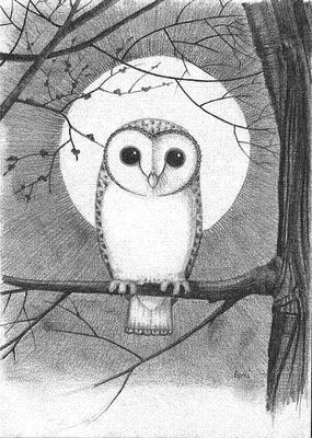 285x400 image result for owl full moon drawing labyrinth magic - Full Moon Drawing Easy
