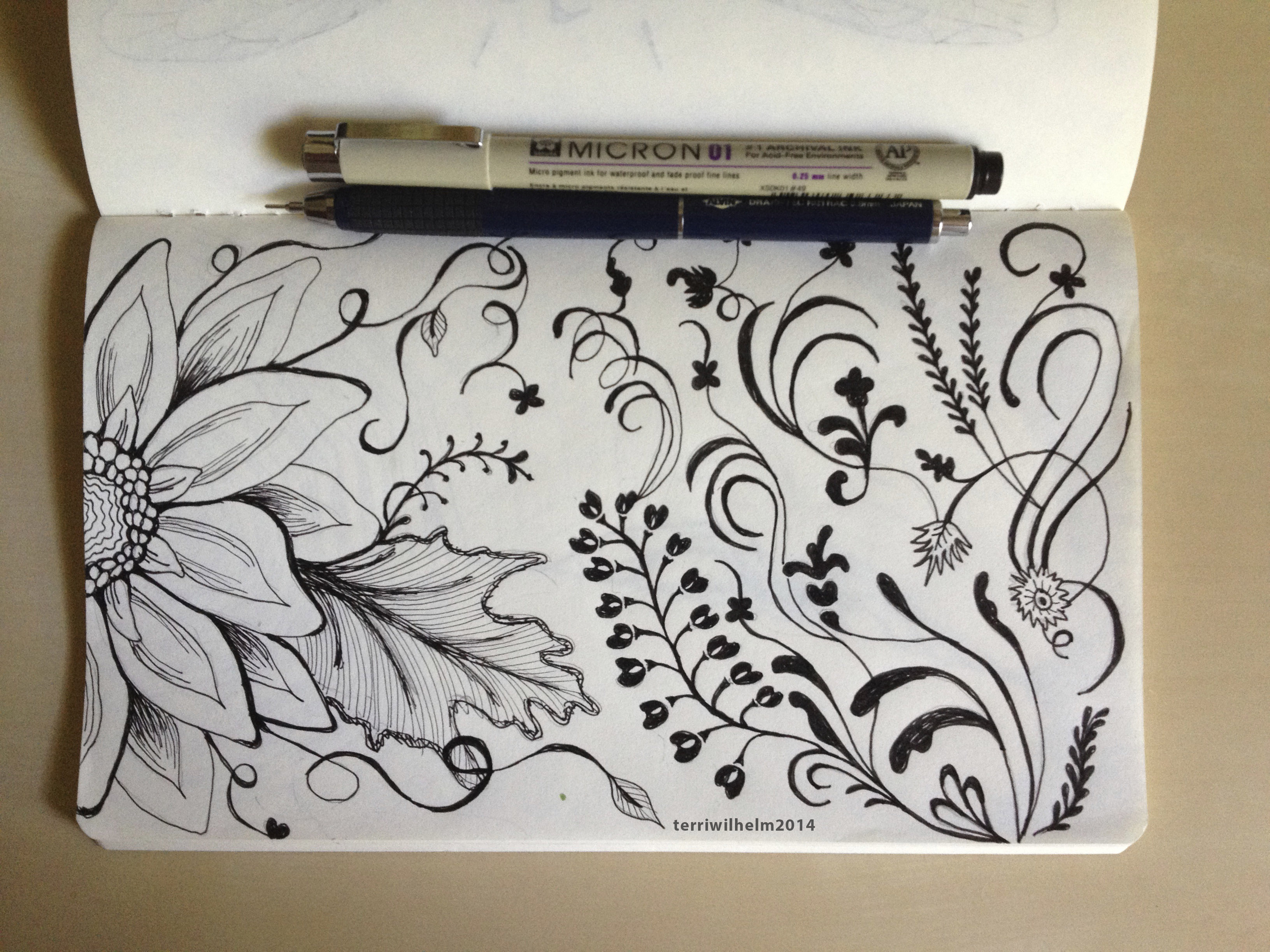 3264x2448 Illustration Terri's Notebook - Full Page Drawings