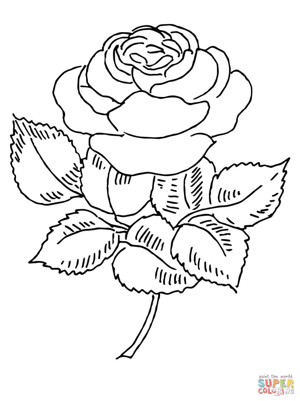 1200x1600 Full Rose For Coloring Roses Pages Free - Full Rose Drawing