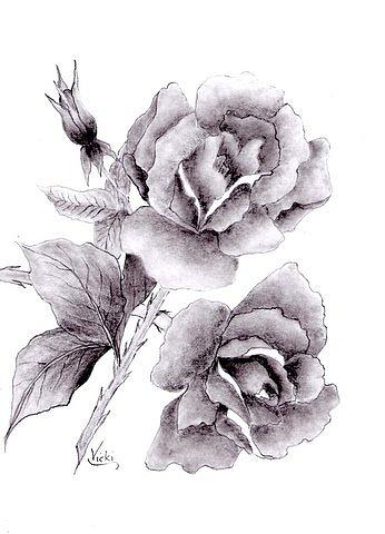 346x480 Roses In Full Bloom Drawing - Full Rose Drawing