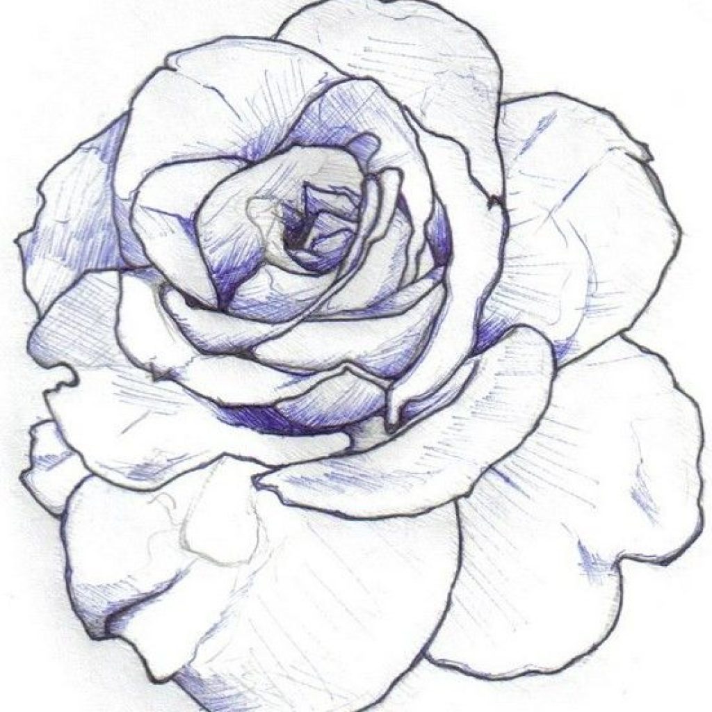 1024x1024 Tattoo Full Rose Drawings Outline - Full Rose Drawing