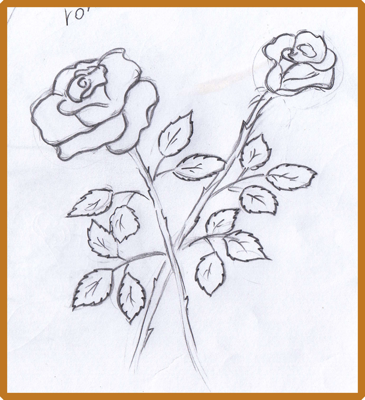 729x800 weekly doodles and tuts how to draw a rose additional links - Full Rose Drawing