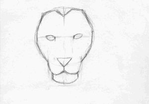 300x210 Step - Fun Drawing Ideas