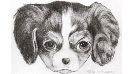 450x250 Drawing Lessons Easy Step - Fun Drawing Tutorials