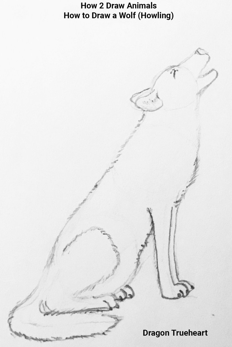 805x1200 dragon on twitter wolf drawing tutorials! fun tutorials i tried - Fun Drawing Tutorials
