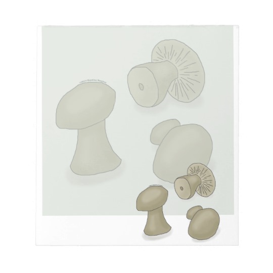 540x540 button mushrooms neutral fungi drawing notepad - Fungi Drawing