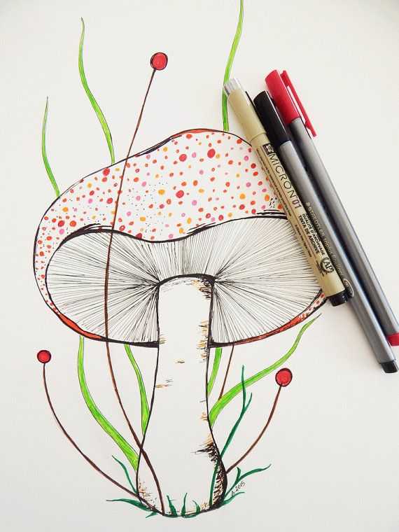 570x760 colorful mushroom drawing botanical art mushroom art fungi - Fungi Drawing