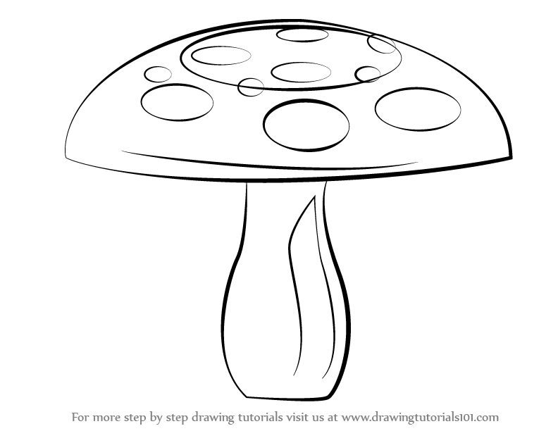 792x612 fungi drawing tutorials - Fungi Drawing