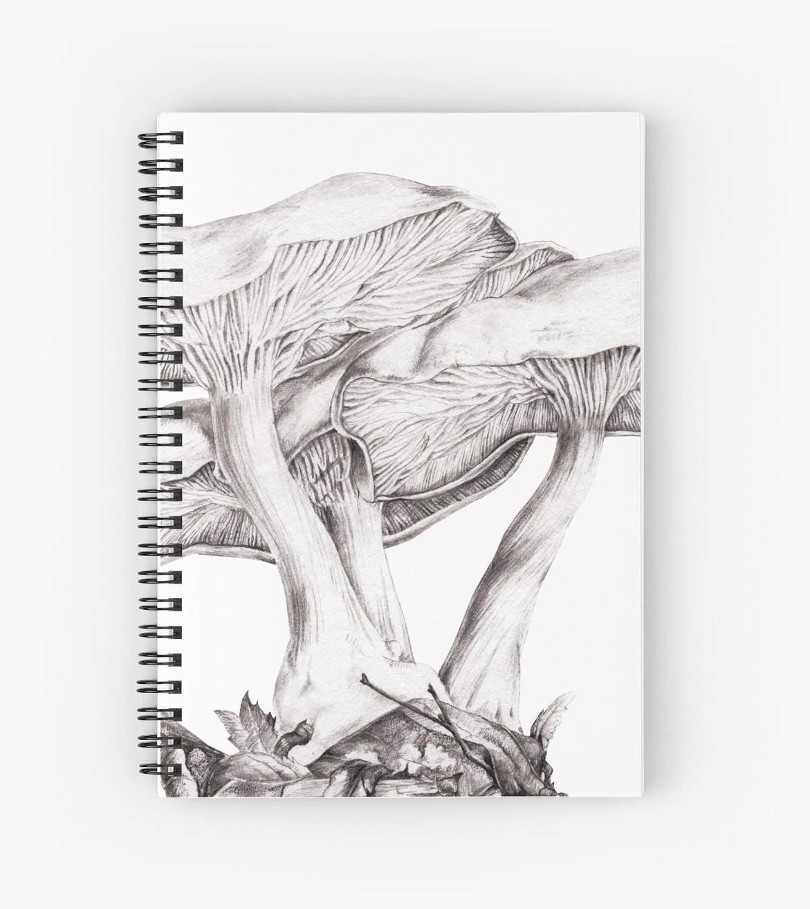 1171x1313 fungi mushroom study mono pencil drawing spiral notebooks - Fungi Drawing