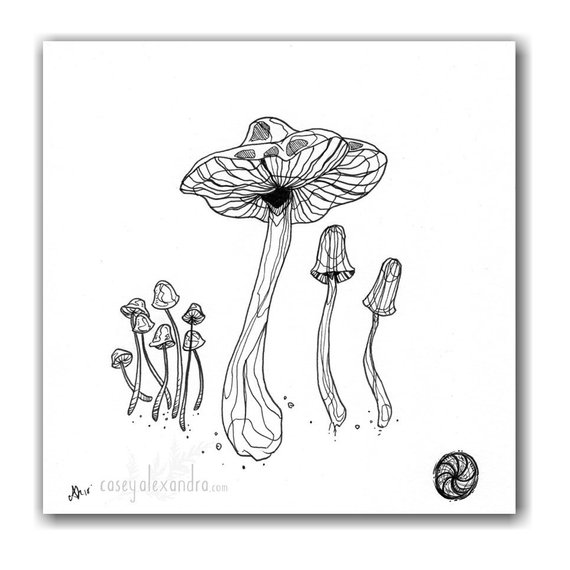 570x570 mushroom fungi botanical ink drawing original artwork etsy - Fungi Drawing