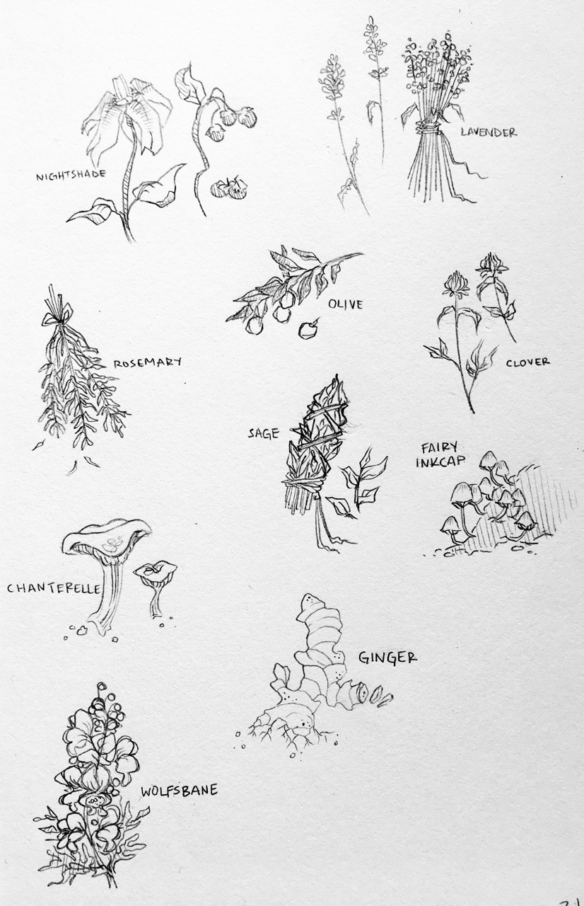 826x1280 art blog alchemic herbs fungi drawn during dampd - Fungi Drawing